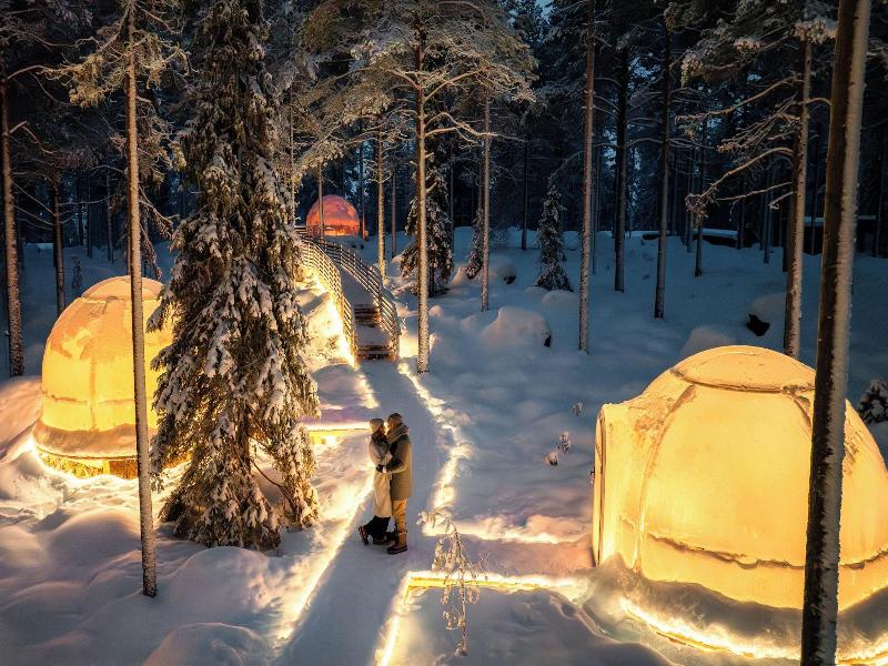 Invisible Forest Lodge image