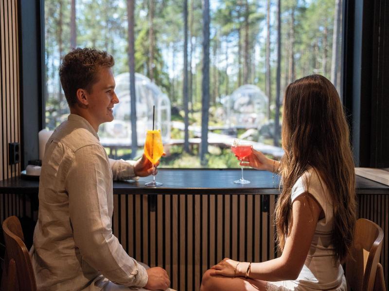 Invisible Forest Lodge image