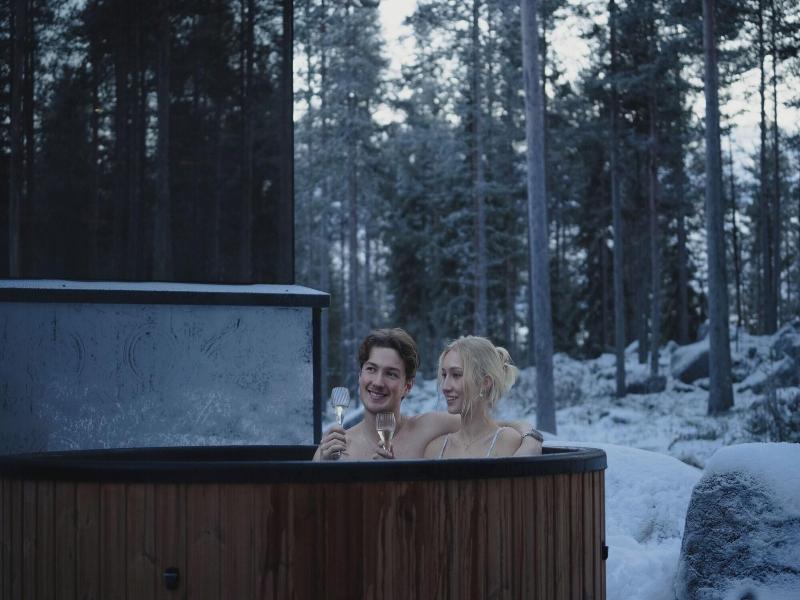 Invisible Forest Lodge image