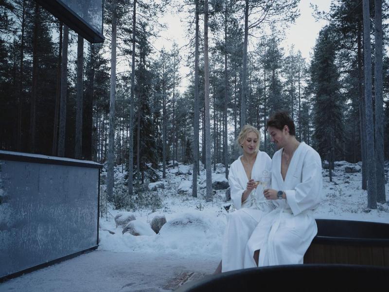 Invisible Forest Lodge image