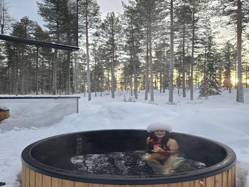 Invisible Forest Lodge image
