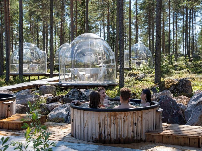 Invisible Forest Lodge image