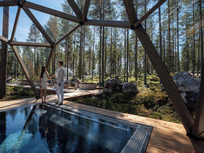 Invisible Forest Lodge image