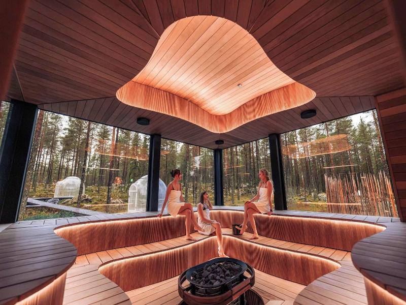 Invisible Forest Lodge image