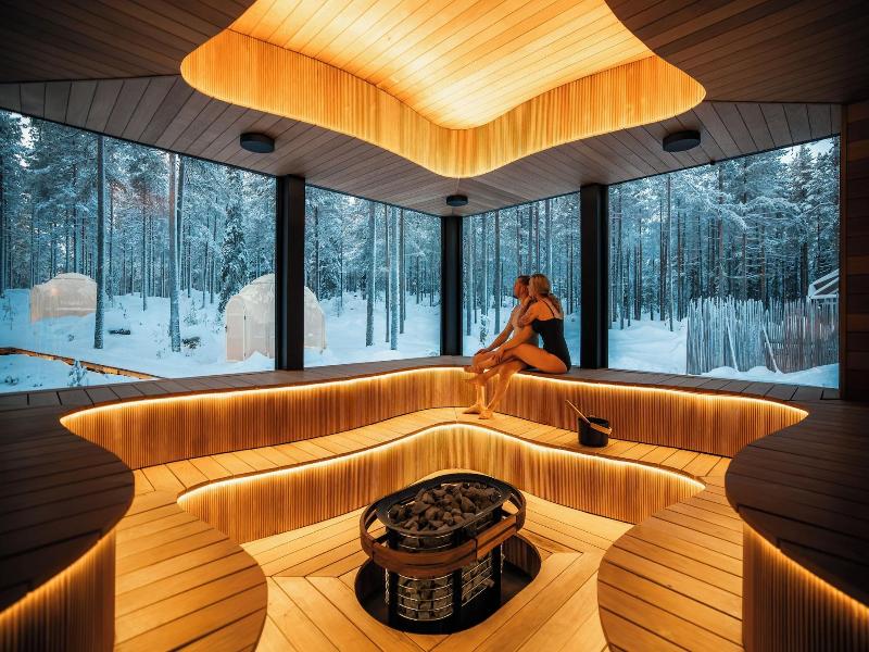 Invisible Forest Lodge image