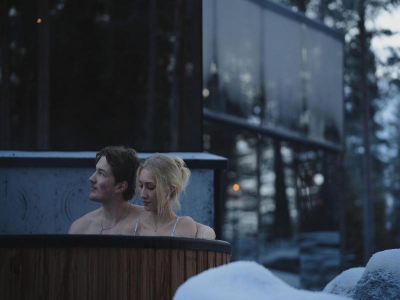 Invisible Forest Lodge image