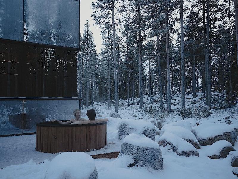 Invisible Forest Lodge image