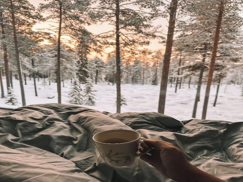 Invisible Forest Lodge image