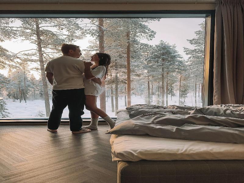 Invisible Forest Lodge image