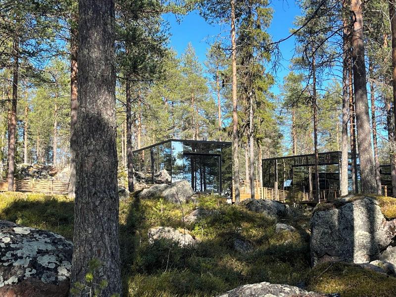 Invisible Forest Lodge image