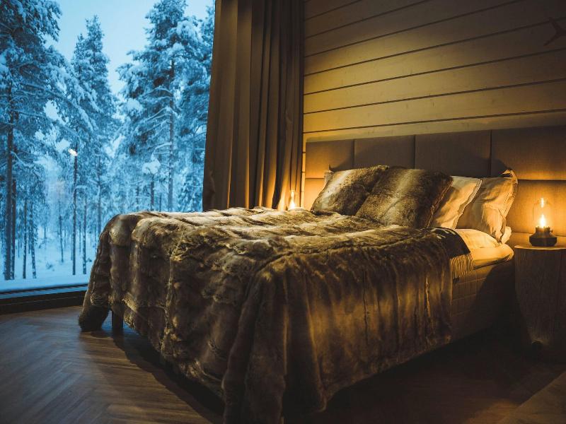 Invisible Forest Lodge image