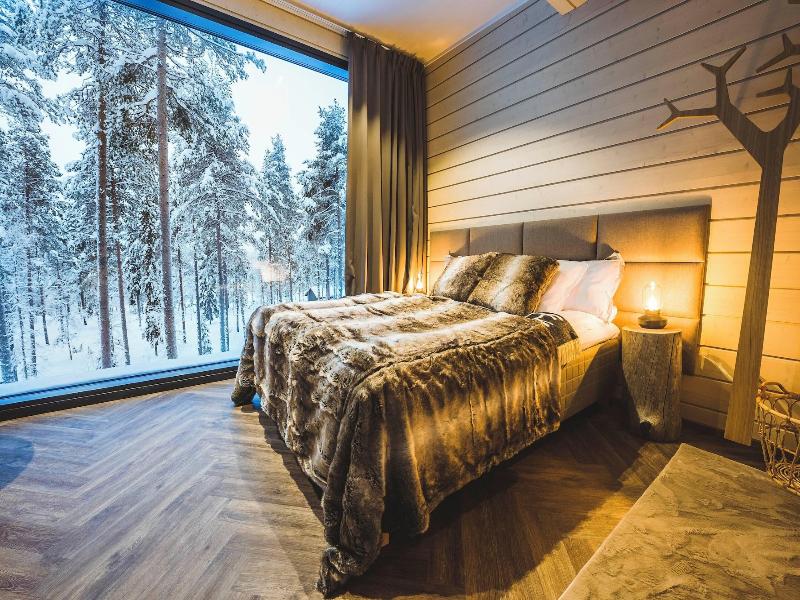 Invisible Forest Lodge image