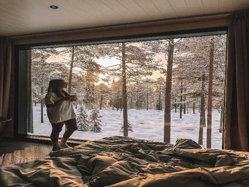 Invisible Forest Lodge image
