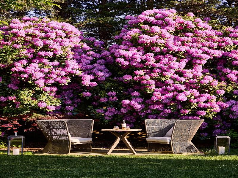 Journey East Hampton image