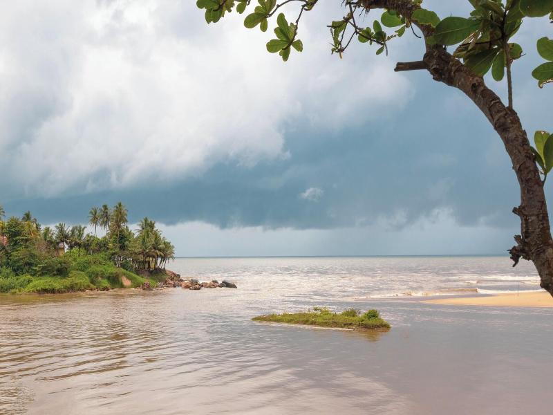 The Postcard Galle image