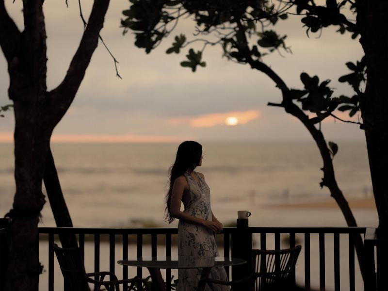 The Postcard Galle image