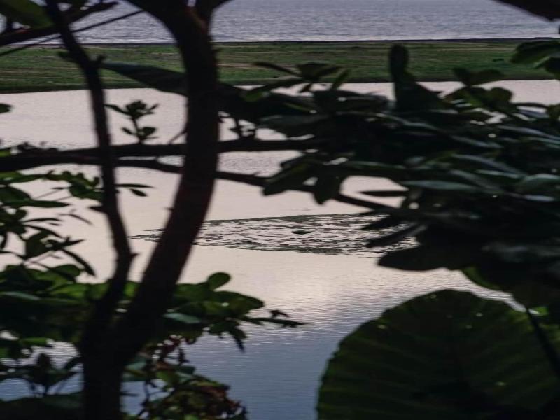 The Postcard Galle image