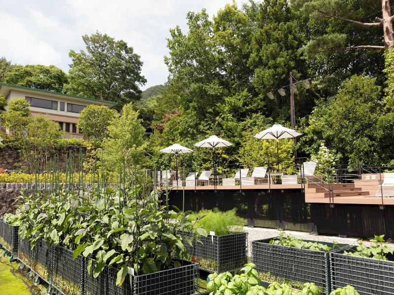 Nol Hakone Myojindai image