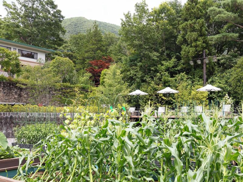 Nol Hakone Myojindai image