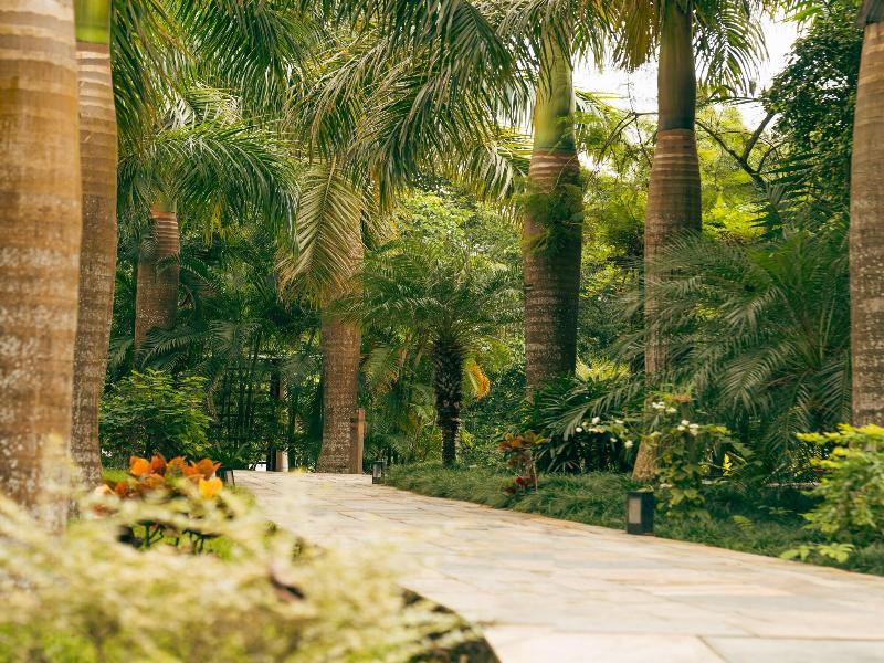Kasara Resort - Chitwan National Park image