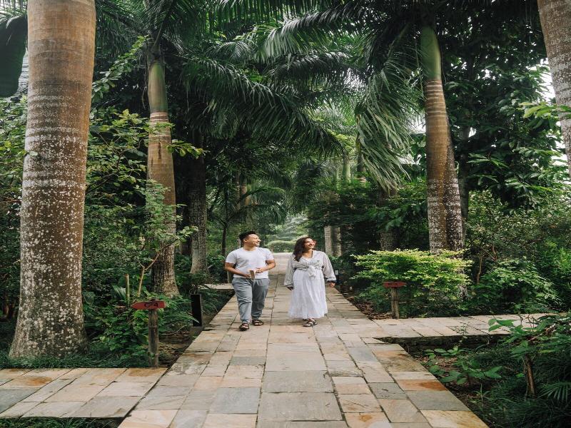 Kasara Resort - Chitwan National Park image