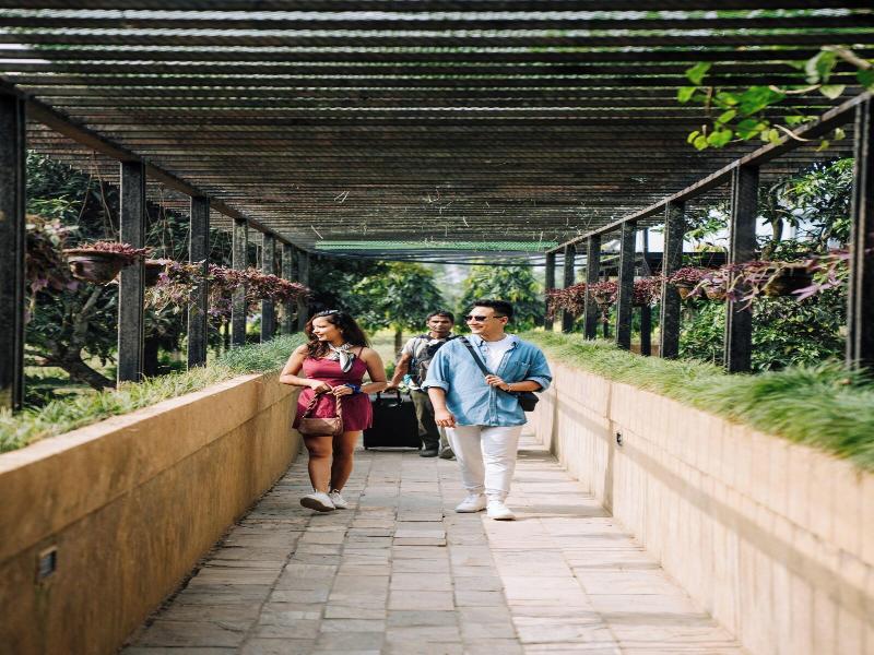 Kasara Resort - Chitwan National Park image