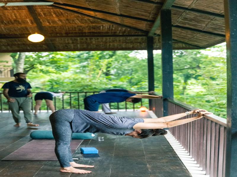 Kasara Resort - Chitwan National Park image