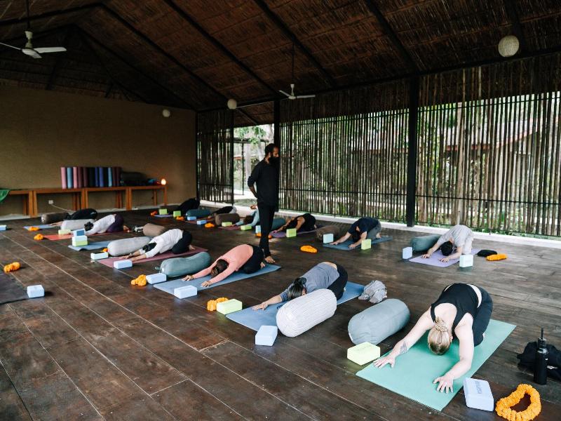 Kasara Resort - Chitwan National Park image