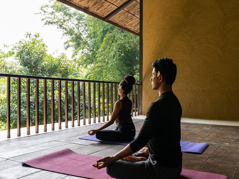 Kasara Resort - Chitwan National Park image