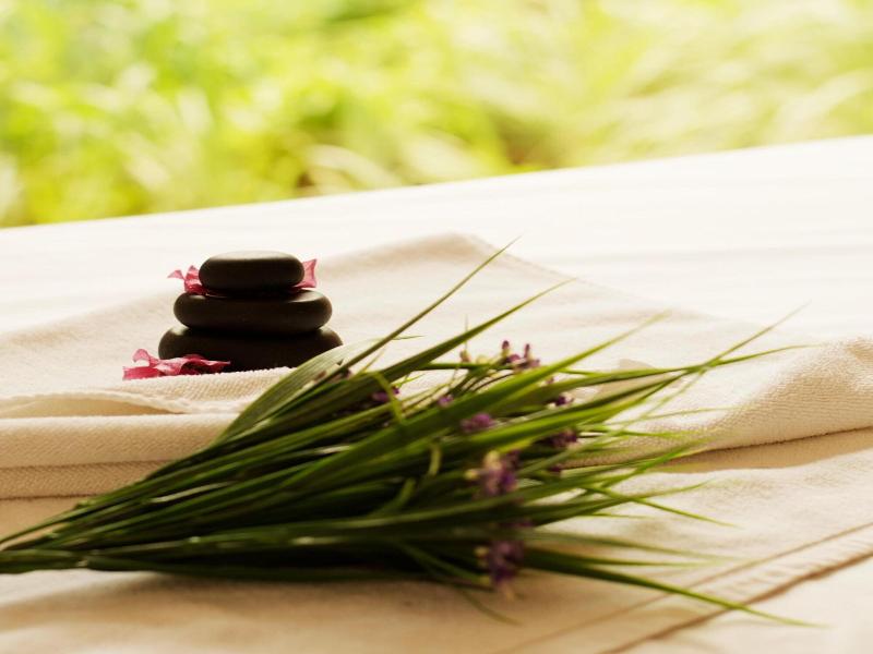 Kasara Resort - Chitwan National Park image