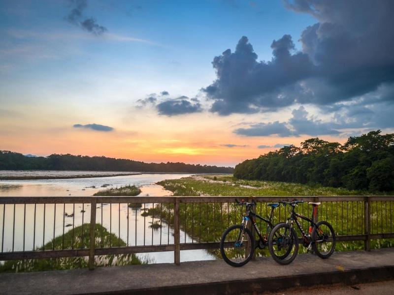 Kasara Resort - Chitwan National Park image