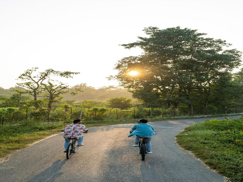 Kasara Resort - Chitwan National Park image