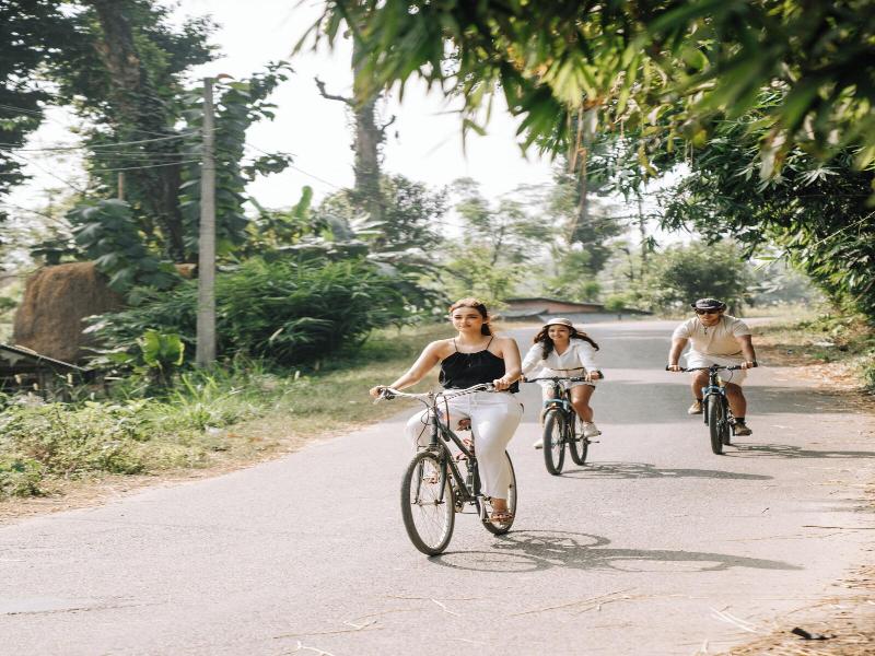 Kasara Resort - Chitwan National Park image