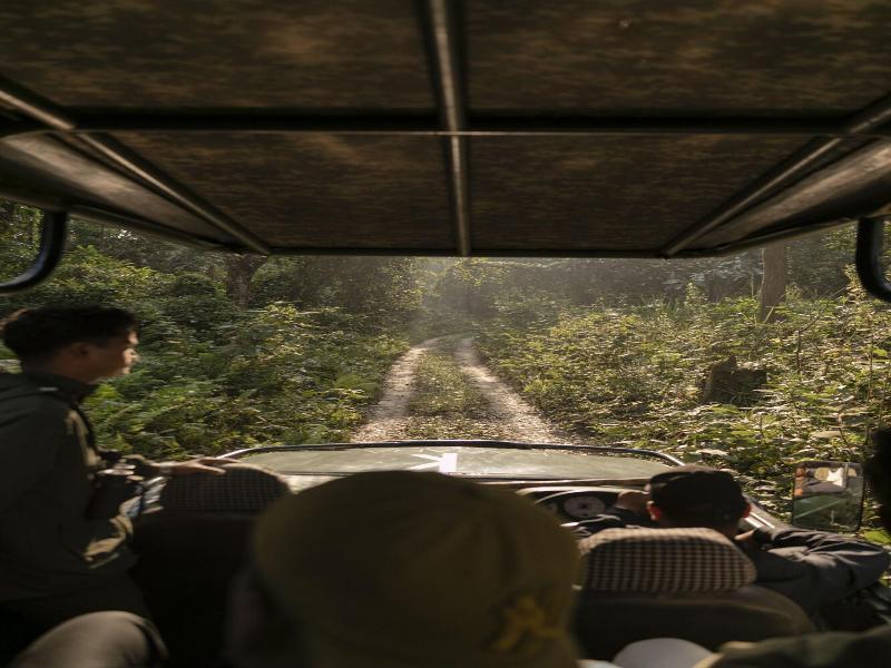 Kasara Resort - Chitwan National Park image