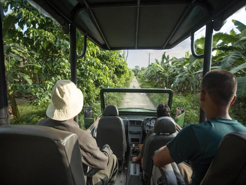 Kasara Resort - Chitwan National Park image