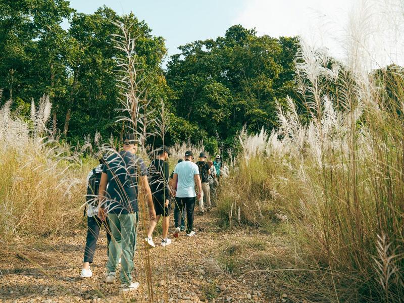 Kasara Resort - Chitwan National Park image
