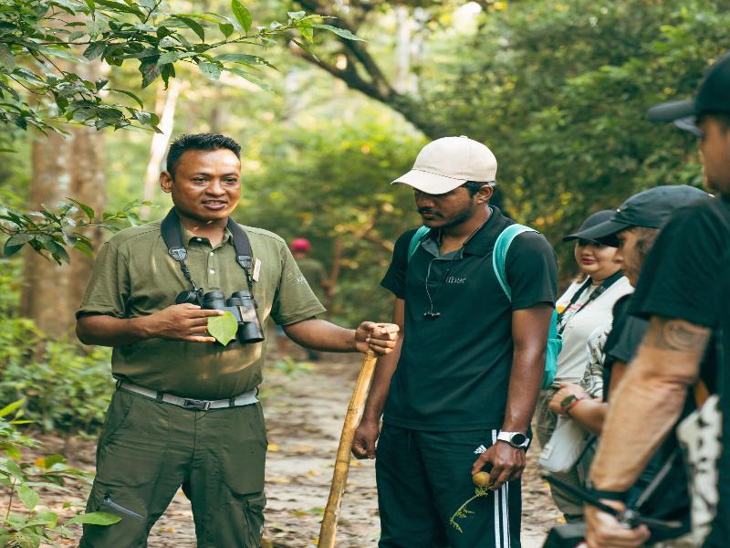 Kasara Resort - Chitwan National Park image