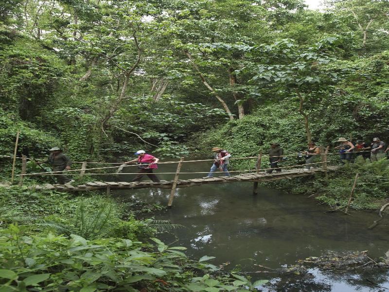 Kasara Resort - Chitwan National Park image