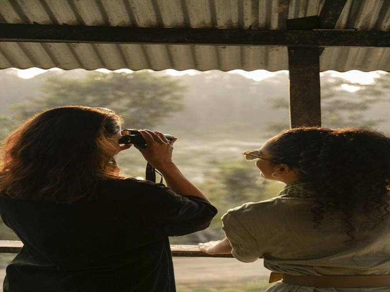 Kasara Resort - Chitwan National Park image