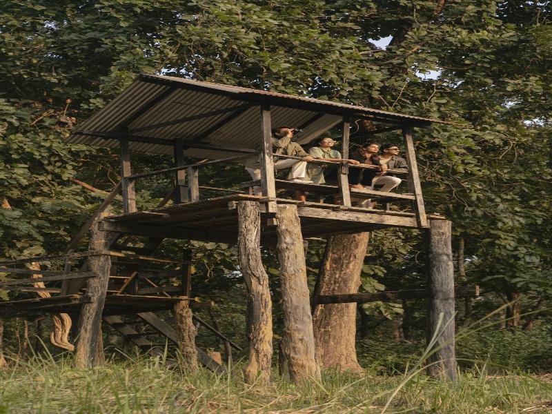 Kasara Resort - Chitwan National Park image
