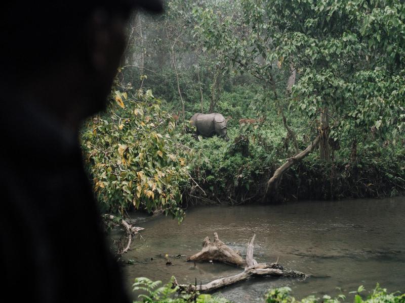 Kasara Resort - Chitwan National Park image