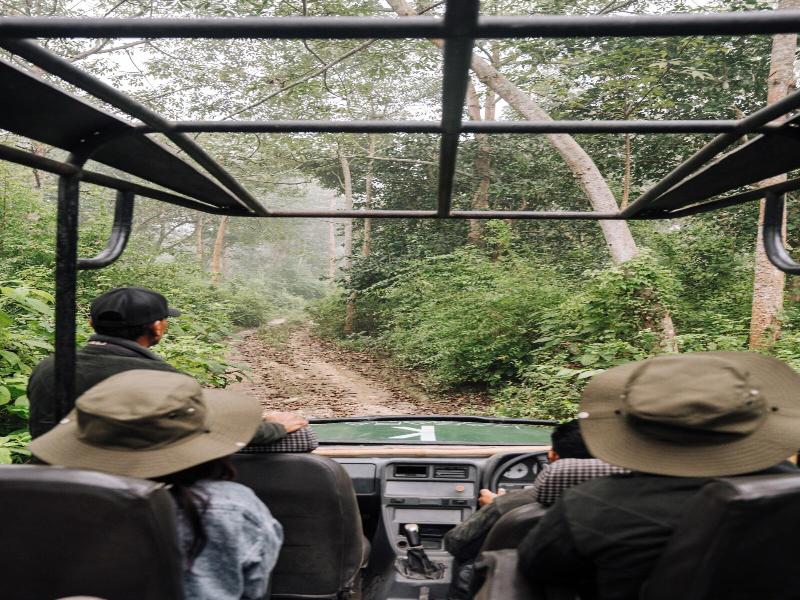 Kasara Resort - Chitwan National Park image