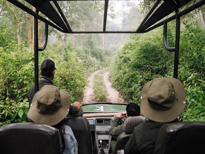 Kasara Resort - Chitwan National Park image