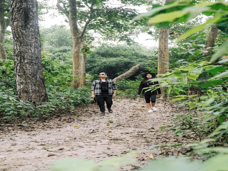 Kasara Resort - Chitwan National Park image