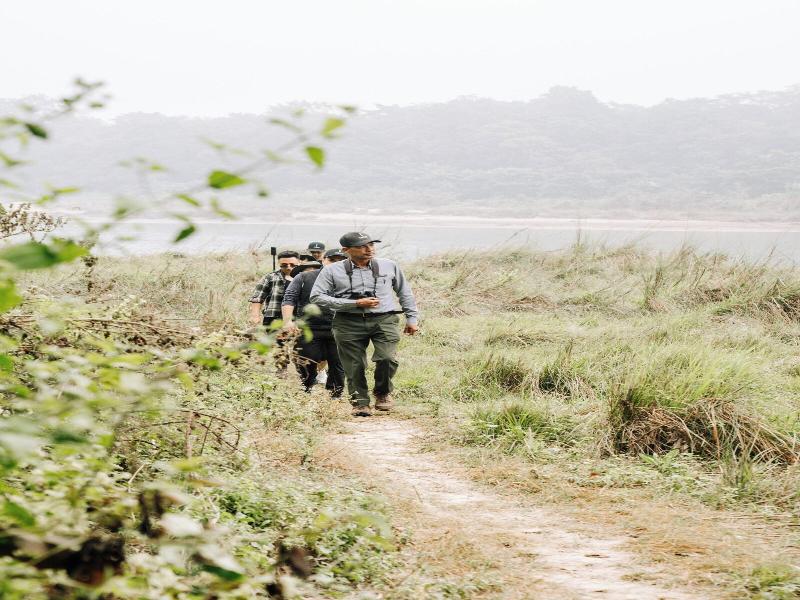 Kasara Resort - Chitwan National Park image