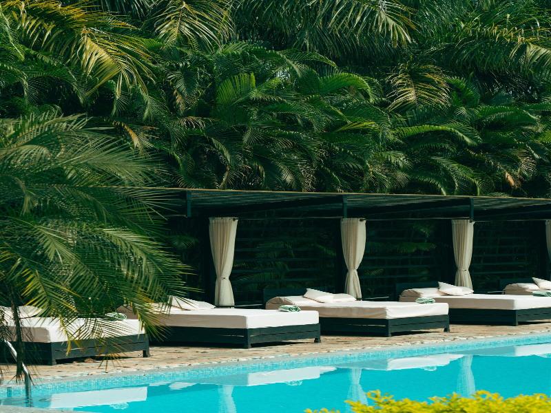 Kasara Resort - Chitwan National Park image