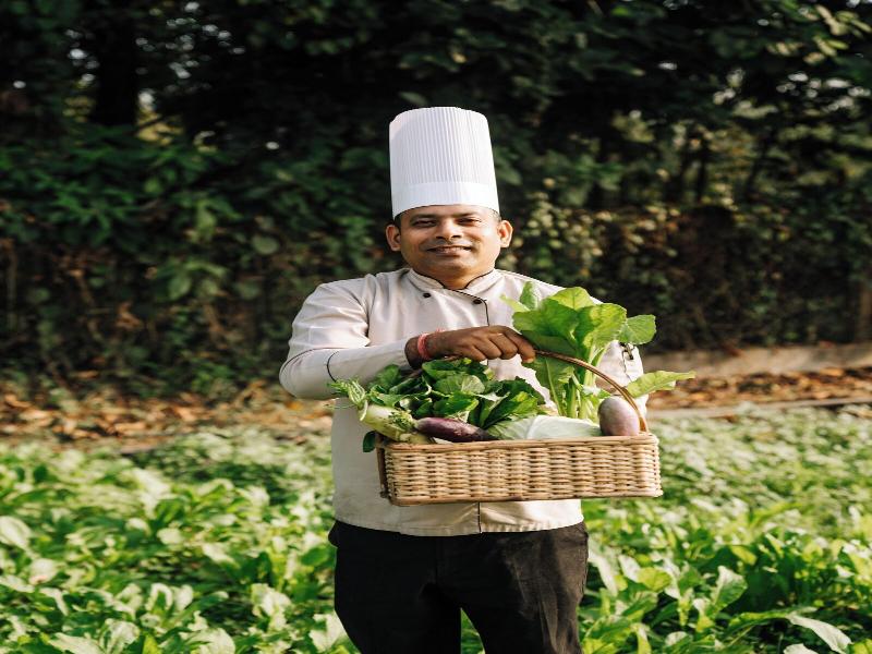 Kasara Resort - Chitwan National Park image