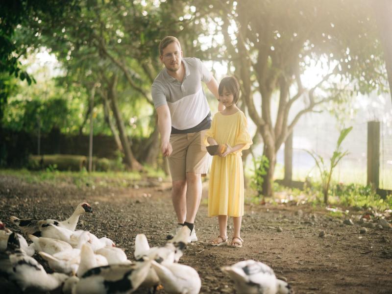 Hiraya Wellness Resort And Ecopark