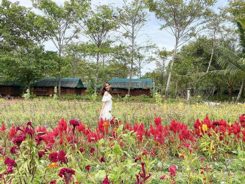 Hiraya Wellness Resort And Ecopark