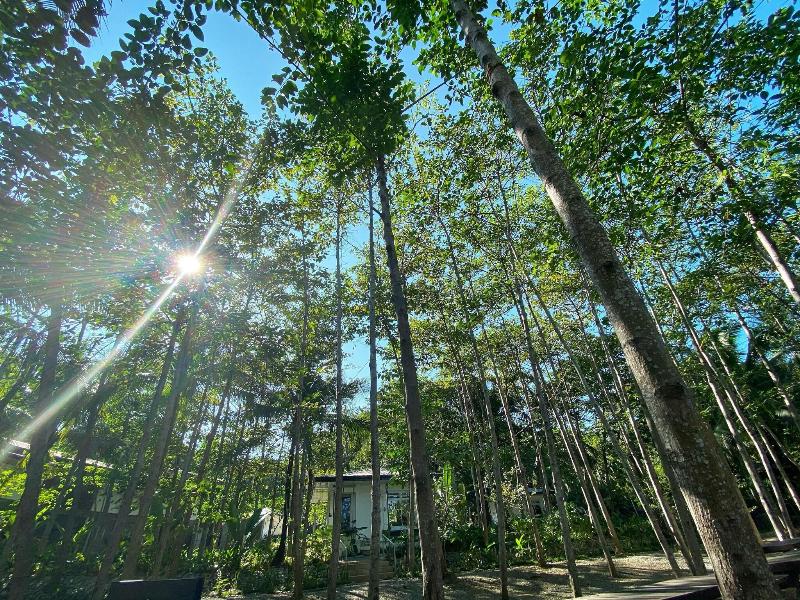 Hiraya Wellness Resort And Ecopark